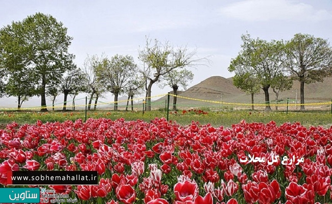 محلات ، هلند ایران