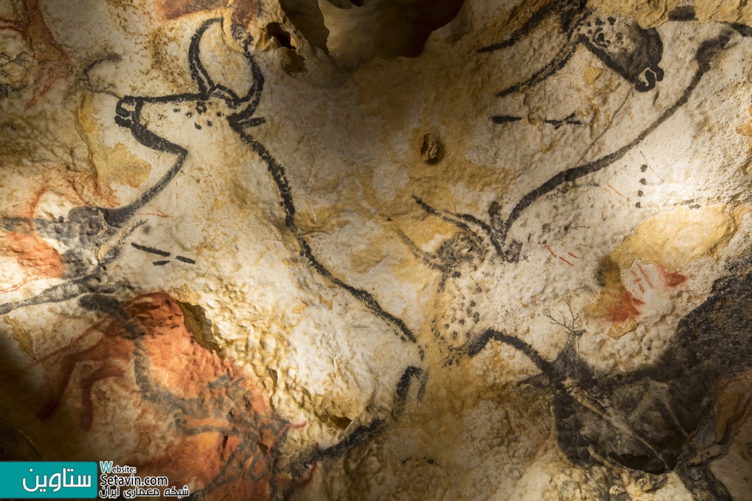 موزه Lascaux IV ، تیم معماری , Snøhetta , Casson Mann ، فرانسه , موزه , Lascaux IV , مرکز ملی , لاسکو , Duncan Lewis , نمایشگاه ,  تکنولوژی 3D , طراحی موزه