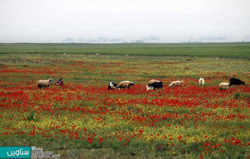 سفر به خنک ترین شهر ایران در تابستان،شهر بدون کولر