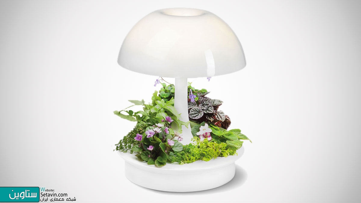 لامپ رومیزی مدرن Ambienta