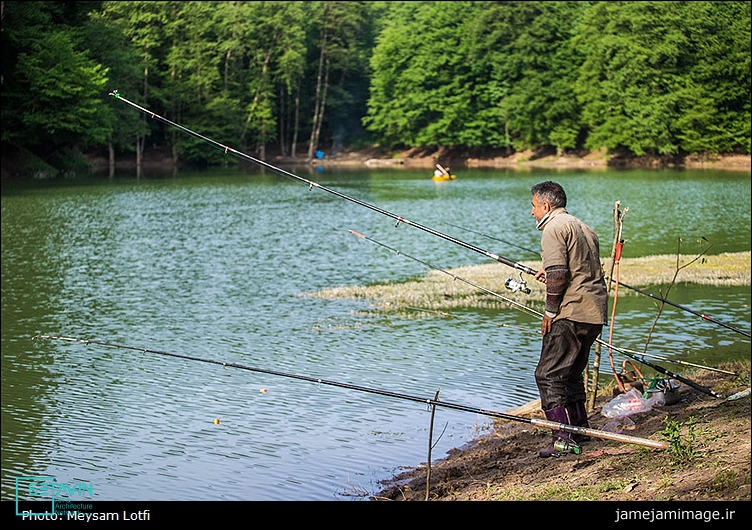 چورت , دریاچه چورت , Chort Lake Mazandaran , دریاچه , Chort Lake , جنگل , Mazandaran , دریاچه میانشه , خواهرخوانده , دریای خزر , ساری , کیاسر , استان مازندران , ایران , چهاردانگه , کارناوال , طبیعت استان مازندران , اخبار ستاوین , شبکه هنر و معماری , شبکه هنر , رویداد های ستاوین