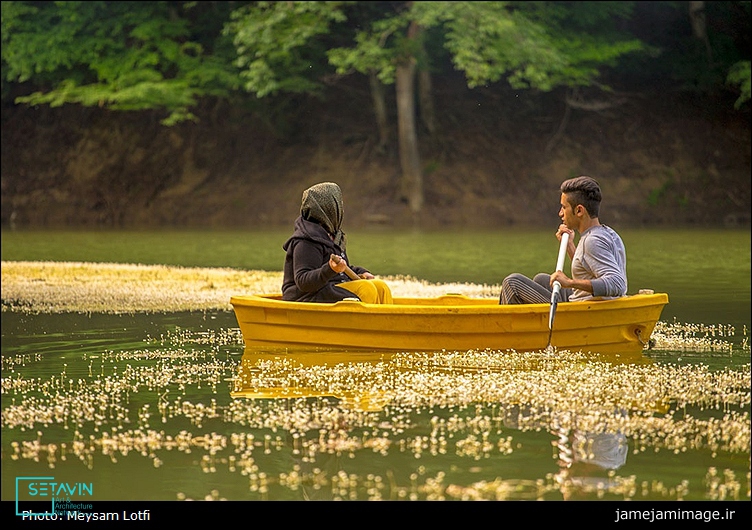 چورت , دریاچه چورت , Chort Lake Mazandaran , دریاچه , Chort Lake , جنگل , Mazandaran , دریاچه میانشه , خواهرخوانده , دریای خزر , ساری , کیاسر , استان مازندران , ایران , چهاردانگه , کارناوال , طبیعت استان مازندران , اخبار ستاوین , شبکه هنر و معماری , شبکه هنر , رویداد های ستاوین