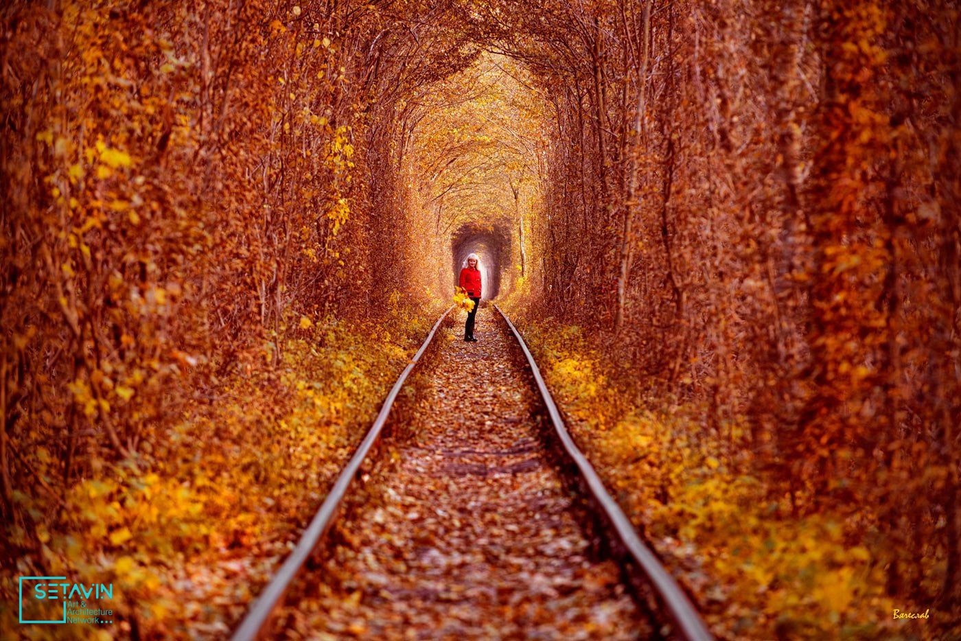 تونل عشق , Love tunnel , اکراین , شبکه هنر و معماری ستاوین , شبکه هنر و معماری , Love tunnel , جهان نما , Kovel-Rivne , کی یف , تونل زیبا , توریست‌ , اروپای شرقی