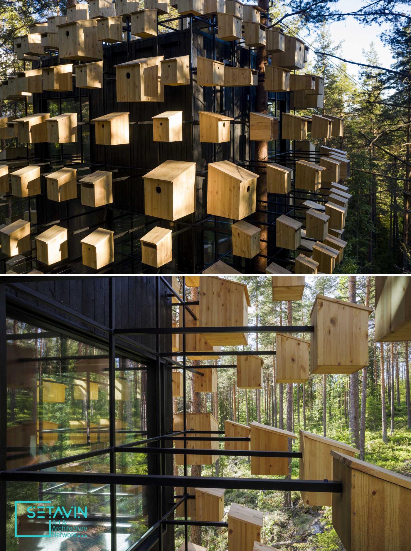 اتاق هتلی با 350 خانه پرنده در جنگلهای سوئد