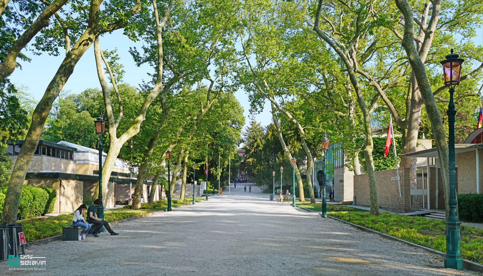 نمای محوری باغ‌های جاردینی در ونیز، مسیر پیاده‌روی اصلی بینال هنر و معماری ونیز با درختان بلند و پاویون‌های ملی در دو طرف