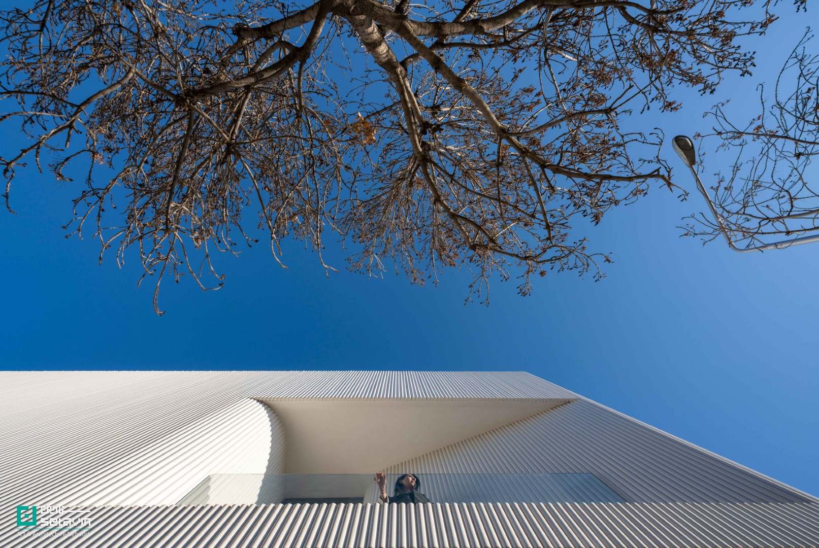 پلتفرم رُست مشهد؛ بازتعریف شوروم مبلمان به فضایی شهری، فرهنگی و انعطاف‌پذیر با رویکرد کاهش آشفتگی بصری و تقویت هویت شهری.