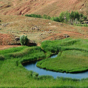 تصویر - جزیره چمن متحرک تکاب - معماری