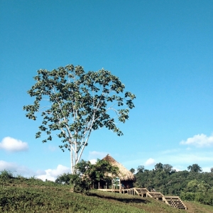تصویر - روستای توریستی Kipará Dé Embera اثر تیم طراحی Juan Pablo Dorado و Oficina Suramericana de ، کلمبیا - معماری