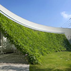 تصویر - سایه بان سبز یک خانه ژاپنی - معماری