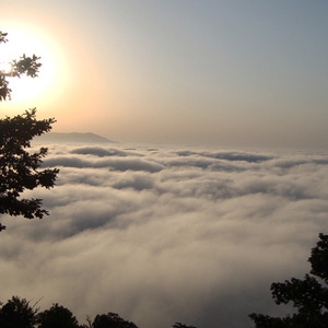 تصویر - جنگل ابر - معماری