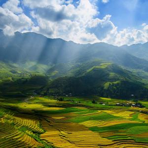 عکس - مزارع بی نظیربرنج در منطقه Mu Cang Chai  ویتنام