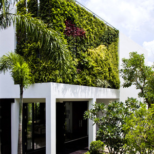 تصویر - ادغام طبیعت و معماری در خانه سبز - معماری