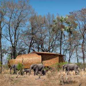 تصویر - فضای اقامتی موقت Sandibe Okavango در بوتسوانا - معماری