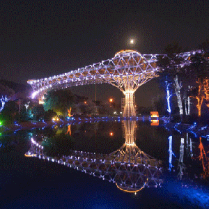 تصویر - نورپردازی پنج هکتار از درختان پیرامون پل طبیعت - معماری