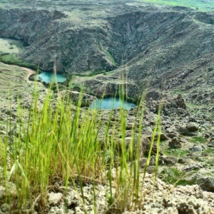 تصویر - نادرترین دریاچه کشور ،دریاچه دوقلوی سیاه گاو - معماری