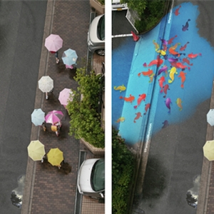 عکس - تصاویر هنری که تنها پس از باران در سئول خواهید دید.