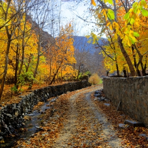 تصویر - روستای کنگ ، ماسوله ی خراسان - معماری