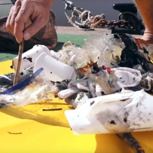تصویر - سطل آشغال شناوری که اقیانوس را تمیز می کند. - معماری
