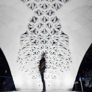 تصویر - ده پرینت سه بعدی برتر سال 2015 از نگاه Designboom - معماری