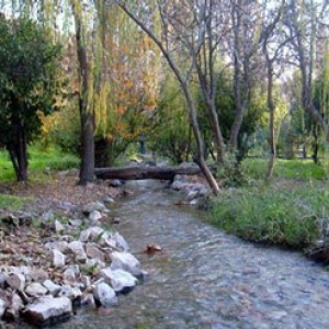 تصویر - جلوه بی بدیل طبیعت در باغ توریستی چشمه بلقیس چرام - معماری