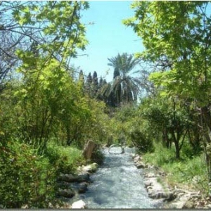 تصویر - جلوه بی بدیل طبیعت در باغ توریستی چشمه بلقیس چرام - معماری