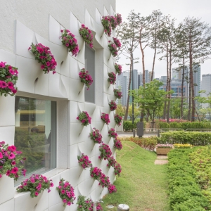 تصویر - گلدانهای گل تعبیه شده در نمای ساختمان - معماری