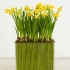 عکس - ایده های بهاری ،تزئین گلدان های شیشه ای