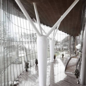 تصویر - مرکز هنری Lotus ، اثر تیم طراحی معماری Raynon Chui ، چین  - معماری