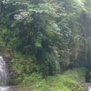 تصویر - آبشار زمرد , پدیده ای بکر در جنگل حویق - معماری