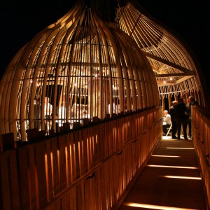 تصویر - رستوران درختی زرد ، اثر تیم طراحی Pacific Environments , نیوزلند - معماری