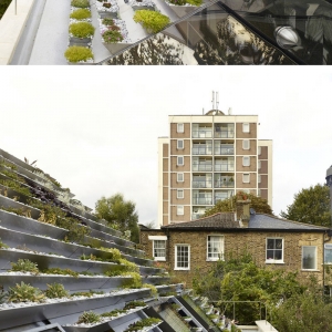 تصویر - بام سبز خاص و متفاوت خانه ای در لندن - معماری