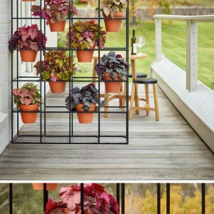 تصویر - راهی آسان برای ایجاد باغ عمودی در فضای داخلی خانه - معماری