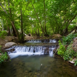 تصویر - بهشت گمشده ایران یا تنگ بستانک - معماری