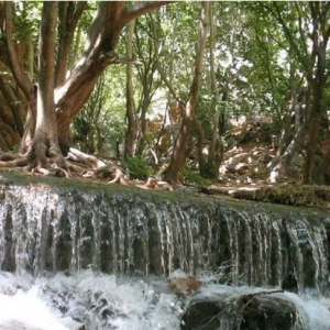 تصویر - بهشت گمشده ایران یا تنگ بستانک - معماری