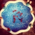 عکس - ایده هایی برای تزئین تنگ ماهی سفره هفت سین