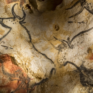 تصویر - موزه Lascaux IV ، اثر تیم معماری Snøhetta و Casson Mann ، فرانسه - معماری