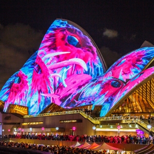 تصویر - نورپردازی فوق العاده  خانه اپرای سیدنی در رویداد Vivid Sydney - معماری