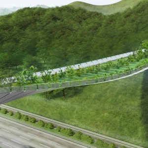 تصویر - طراحی پلی میان زندگی شهری و حیات وحش کره  - معماری
