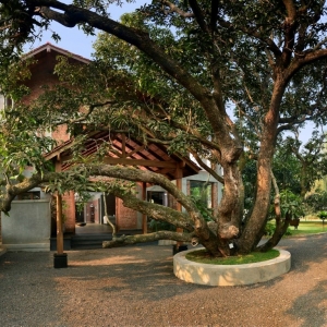 تصویر - ساختمان مسکونی Mango House , اثر معماران Studio PKA , هندوستان - معماری