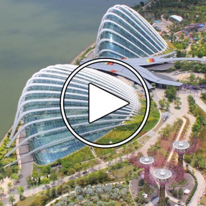 تصویر - Wilkinson Eyre s award winning Gardens by the Bay in Singapore - معماری
