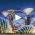 عکس - Gardens by the Bay , اثر تیم طراحی Wilkinson Eyre , سنگاپور