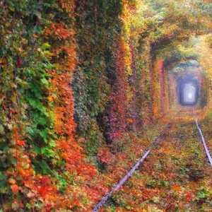 تصویر - تونل عشق ( Love tunnel ) , اکراین - معماری