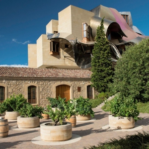 تصویر - هتل marques de riscal , اثر فرانگ گهری , اسپانیا - معماری