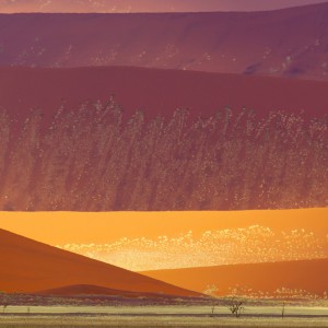تصویر - کویر ساحلی نامیب (Namib Desert) ، خواهر دوقلوی درک در آفریقا - معماری