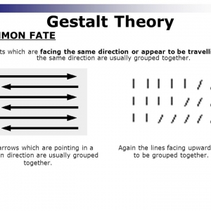 تصویر - آموزش معماری : گشتالت ( Gestalt ) - معماری