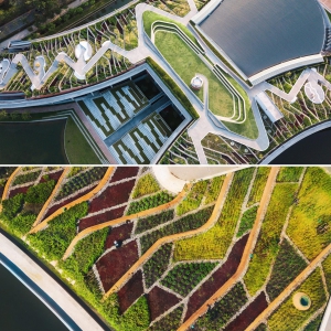 تصویر - طراحی مزرعه شهری شگفت انگیزی در روف گاردن ساختمانی در بانکوک تایلند - معماری