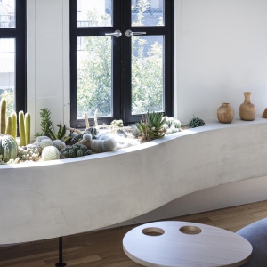 تصویر - طراحی باغچه کوچک کاکتوس جایگزین سایر گیاهان آپارتمانی - معماری
