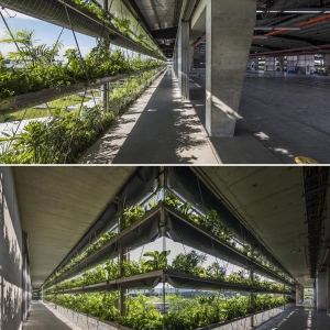 تصویر - نمای سبز کارخانه ای در ویتنام - معماری