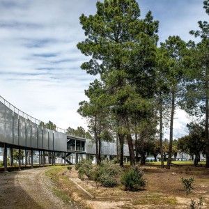 تصویر - مرکز نوآوری ورزشی بین المللی El Anillo ، اثر تیم معماری Jose Maria Sanchez Garcia ، اسپانیا - معماری