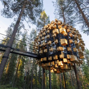 تصویر - اتاق هتلی با 350 خانه پرنده در جنگلهای سوئد - معماری